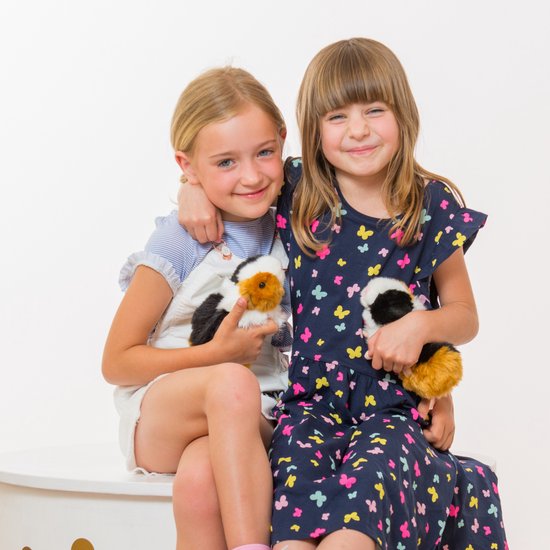 ANBOOR 6-delige set van 12 cm honden-pluches, schattige hondenwelpen-knuffel voor kinderen, kleine pluches in grote verpakking met sleutelhanger, zacht pluche teddy-speelgoed (bruin, wit, lichtbruin