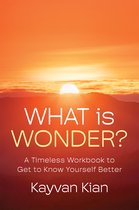 What Is Wonder?