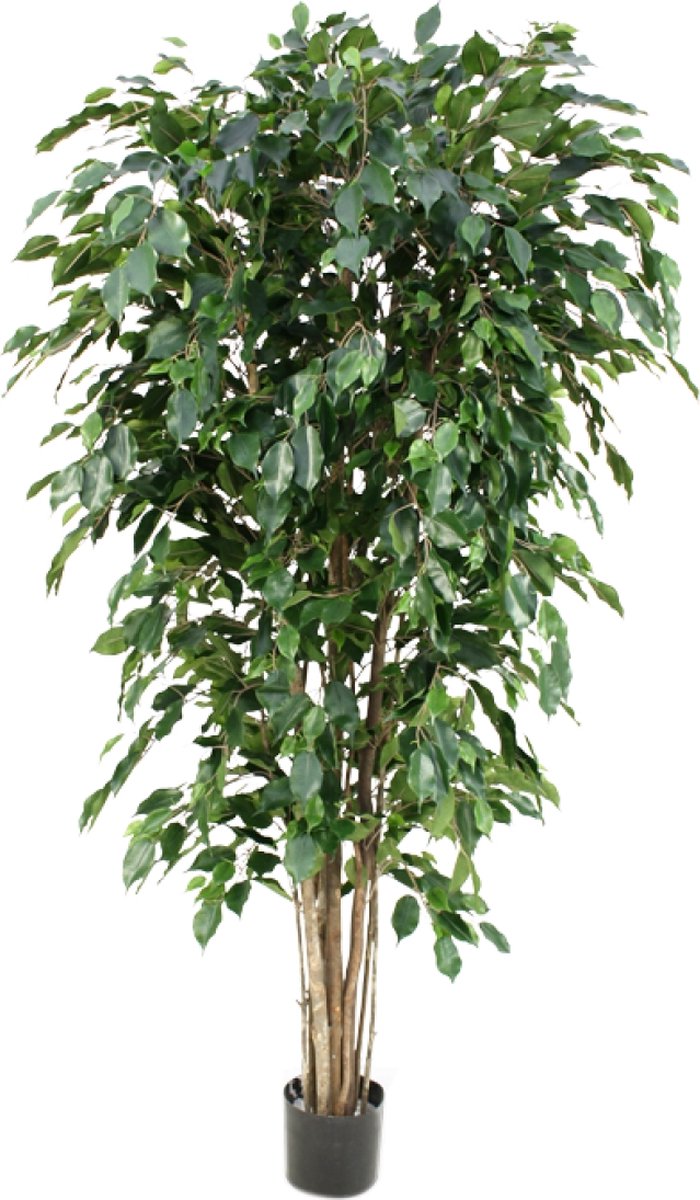 Maxifleur Ficus Exotica deluxe kunstplant 180cm - groen - FR - brandvertragend