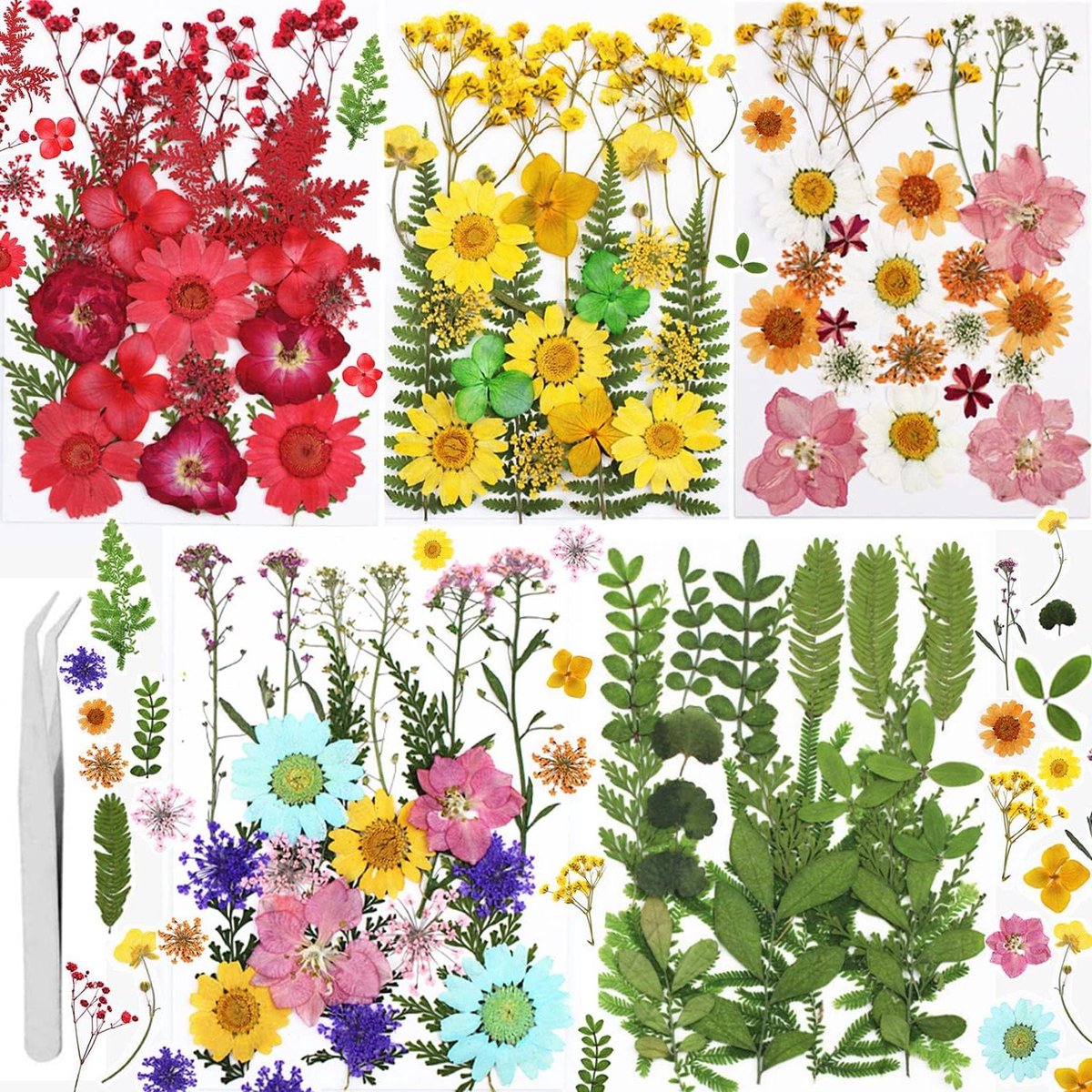 Echte gedroogde geperste bloemen en bladeren - Meerkleurige droge bloemen voor doe-het-zelf hars handwerk en decoraties droge bloemen