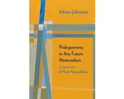 Prolegomena to Any Future Materialism