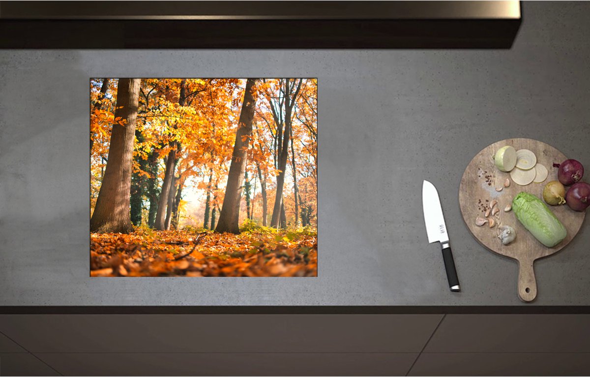Inductieplaat Beschermer - Bos in de Herfst vanaf Kikkerperspectief - 58x51 cm - 2 mm Dik - Inductie Beschermer - Bescherming Inductiekookplaat - Kookplaat Beschermer van Wit Vinyl
