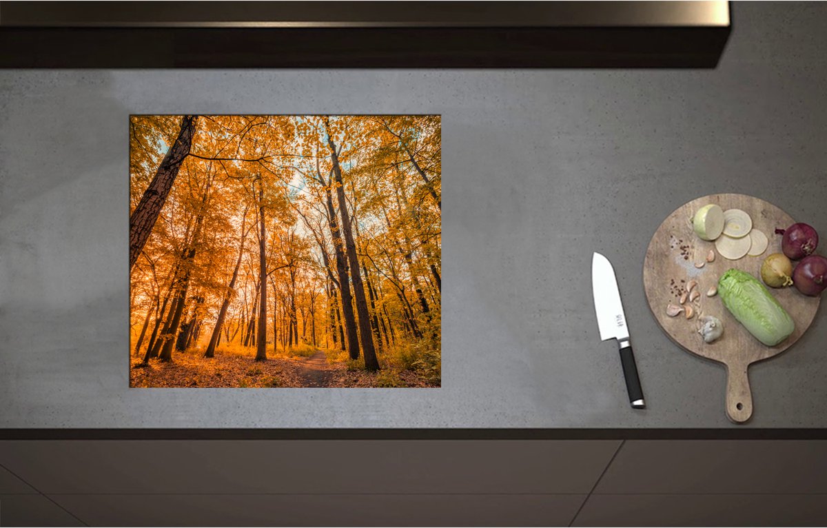 Inductieplaat Beschermer - Bos met Hoge Bomen in Herfstkleuren - 57x50 cm - 2 mm Dik - Inductie Beschermer - Bescherming Inductiekookplaat - Kookplaat Beschermer van Zwart Vinyl