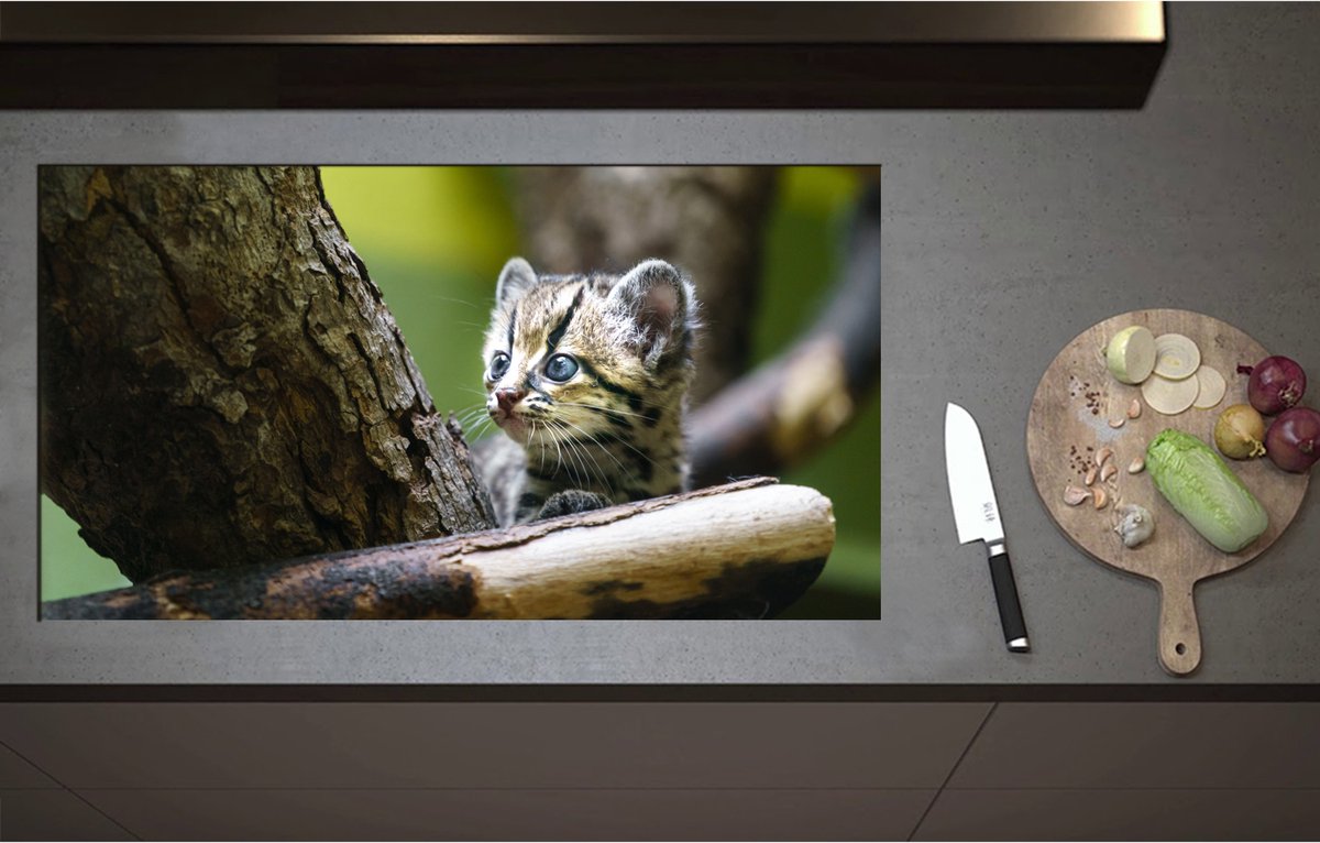 Inductieplaat Beschermer - Boomkat Kitten in de Bomen - 95x52 cm - 2 mm Dik - Inductie Beschermer - Bescherming Inductiekookplaat - Kookplaat Beschermer van Wit Vinyl