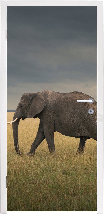 Deurposter 80x205 cm - Deursticker Olifant - Savanne - Dieren - Natuur - Meubelfolie zelfklevend - Deurfolie woonkamer - Interieurfolie fotobehang - Deur plakfolie - Deurstickers - Deurbehang sticker - Kamer decoratie