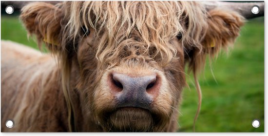 Affiche de jardin Scottish Highlander - Herbe - Forêt - 60x30 cm - Toile de jardin - Affiche extérieure