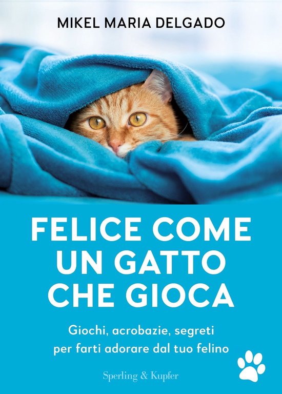 Felice come un gatto che gioca - cover