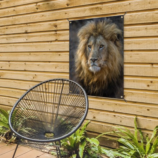 Poster Jardin Roi Lion 40x60 cm - petit - Toile de jardin / Toile d'extérieur / Peintures d'extérieur (décoration de jardin)