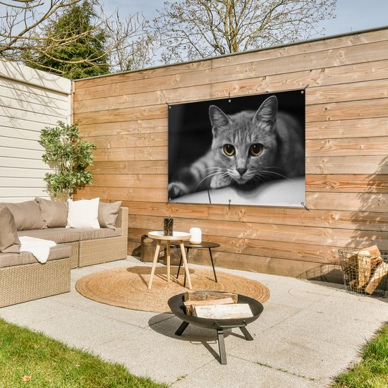 Affiche jardin - Toile Posters de jardin extérieur - Chat - Animal - Macro - 120x80 cm - Jardin