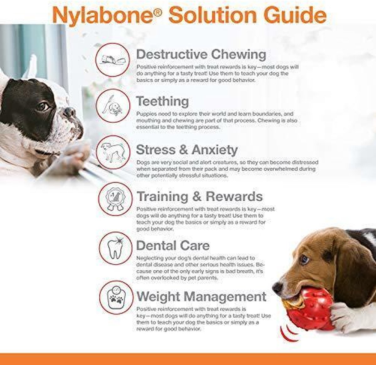 Nylabone flexi voor honden puppy dental dinosaur chicken tot 11 kg thumbnail 7