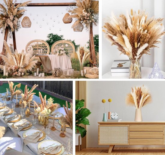 Gedroogde Pampas Pluimen in Pastel Prism - 70 cm Elegantie - : De online Bloemen