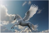 Poster Glanzend – Paard - Vliegen - Wit - Lucht - Wolken - 150x100 cm Foto op Posterpapier met Glanzende Afwerking