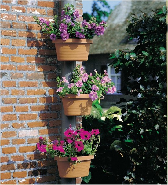 Trois pots bruns sur une gouttière, remplis de fleurs violettes et roses