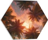 PVC Schuimplaat Hexagon - Palmbomen - Kleuren - Onderaanzicht - Zon - 40x34.8 cm Foto op Hexagon (Met Ophangsysteem)