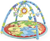 S-M Commerce Baby Speelmat - Speelgoed - Tapijt - Ontwikkeling - Activiteitenrek - Vijf Afneembaar speeltjes