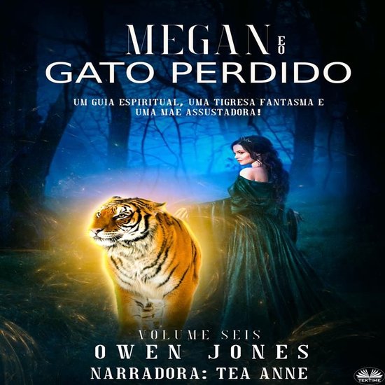 Megan E O Gato Perdido - cover
