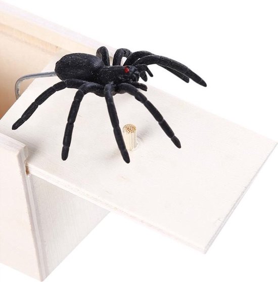 CHPN - Nep spin - Nep spin in doosje - Prank - Grap - Fopspin - Laat ze schrikken - Gegarandeerd schrikken met deze nep spin in doosje