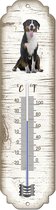 Thermomètre: grand Chien de montagne Suisse / Race de chien / température intérieure et extérieure / -25 à + 45C