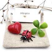 Zakje Geluk Klavertje 4 -geluksbrenger-cadeau-lieveheersbeestje-geschenk-voor man/vrouw-reis-nieuw huis-gift