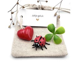 Zakje Geluk Klavertje 4 -geluksbrenger-cadeau-lieveheersbeestje-geschenk-voor man/vrouw-reis-nieuw huis-gift