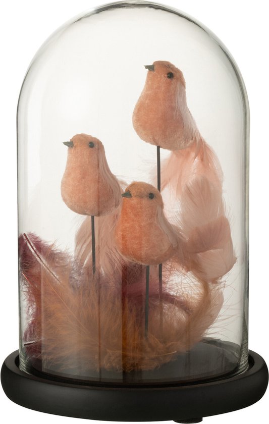 J-Line Cloche 3 Oiseaux+Plumes Verre Rose/Burgundy