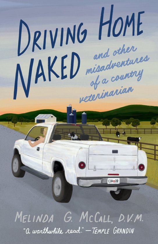 Driving Home Naked - cover
