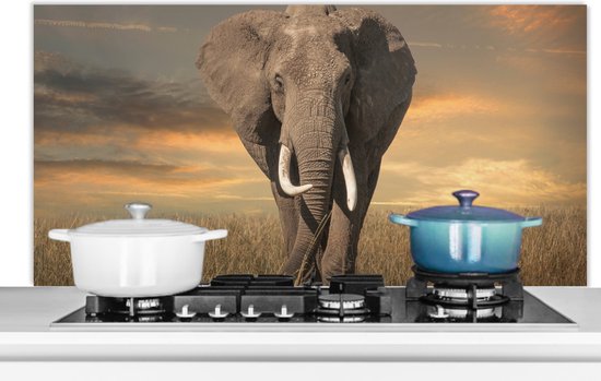 Spatscherm keuken 120x60 cm - Kookplaat achterwand Olifant - Dieren - Gras - Natuur - Muurbeschermer - Spatwand fornuis - Hoogwaardig aluminium