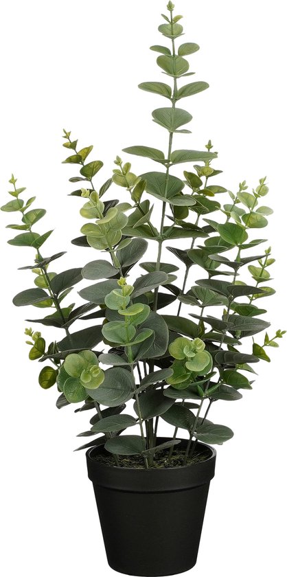 Mica Decorations Eucalyptus Kunstplant in Bloempot - H53 x Ø23 cm - Groen