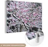 MuchoWow® Glasschilderij 120x80 cm - Schilderij acrylglas - Close-up van een besneeuwde sakura - Foto op glas - Schilderijen