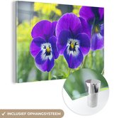 MuchoWow® Glasschilderij 30x20 cm - Schilderij acrylglas - Paarse violen - Foto op glas - Schilderijen