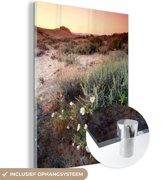 MuchoWow® Glasschilderij 30x40 cm - Schilderij acrylglas - Teunis plant met een zachte achtergrond - Foto op glas - Schilderijen