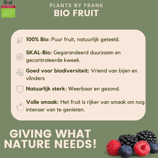 Een afbeelding met teksten over bio fruit: '100% Bio: Puur fruit, natuurlijk geteeld.', 'SKAL-Bio: Gegarandeerd duurzaam en gecontroleerde kweek.', 'Goed voor biodiversiteit: Vriend van bijen en vlinders.', 'Natuurlijk sterk: Weerbaar en gezond.', 'Volle smaak: Het fruit is rijker van smaak om nog intenser van te genieten.' Onderin een close-up van frambozen, blauwe bessen en bramen.