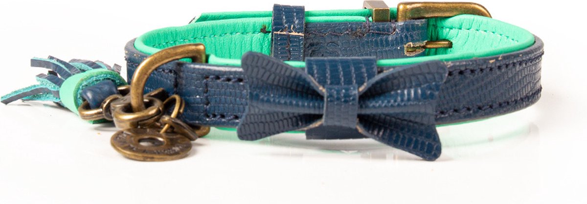 Dog with a Mission Buster halsband "Kleur: Blauw","Maat: 2 cm - s (28-34cm)"