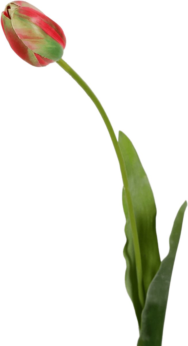 Viv! Home Luxuries Franse Tulp - zijden bloem - roze groen - 66cm