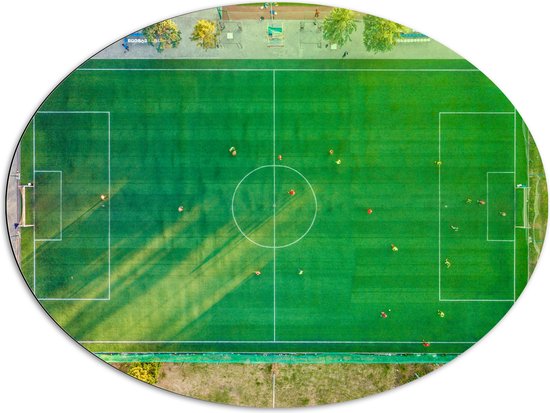 Dibond Ovaal - Bovenaanzicht van Voetballers op Voetbakveld - 96x72 cm Foto op Ovaal (Met Ophangsysteem)