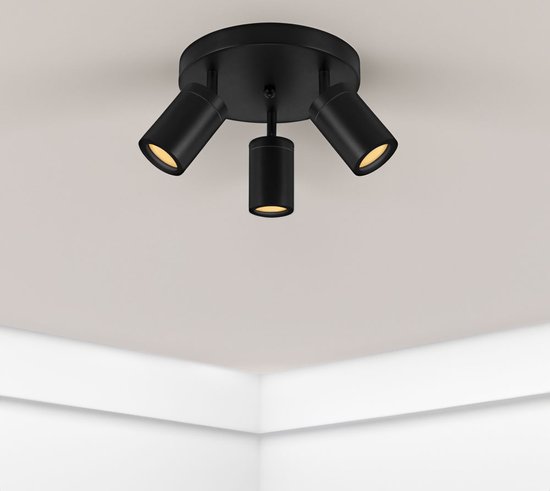 4 stuks badkamer LEDspot Venetië Watt, IP65 Dimbaar, Rvs uitvoering 4 stuks badkamer LEDspot Venetië Watt, IP65 Dimbaar, Rvs uitvoering