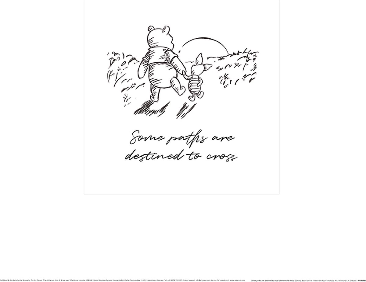 Winnie The Pooh Some Paths Are Destined To Cross Art Print 30x30cm - Disney