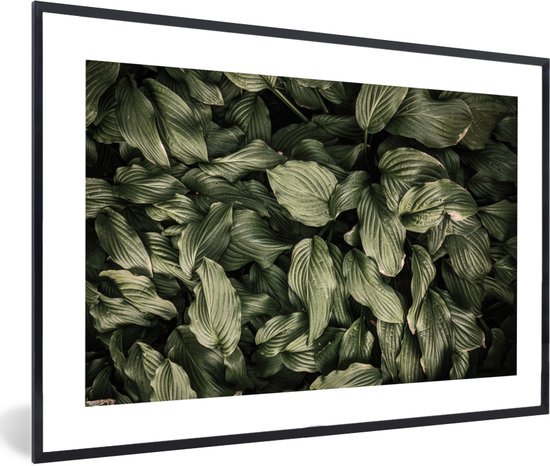 Cadre photo avec affiche - Feuilles - Vert - Nature - Plantes - 60x40 cm - Cadre pour affiche