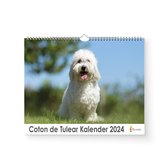 Kalender 2024- Coton de Tulear - 35x24cm - 300gms - Spiraalgebonden - Inclusief ophanghaak