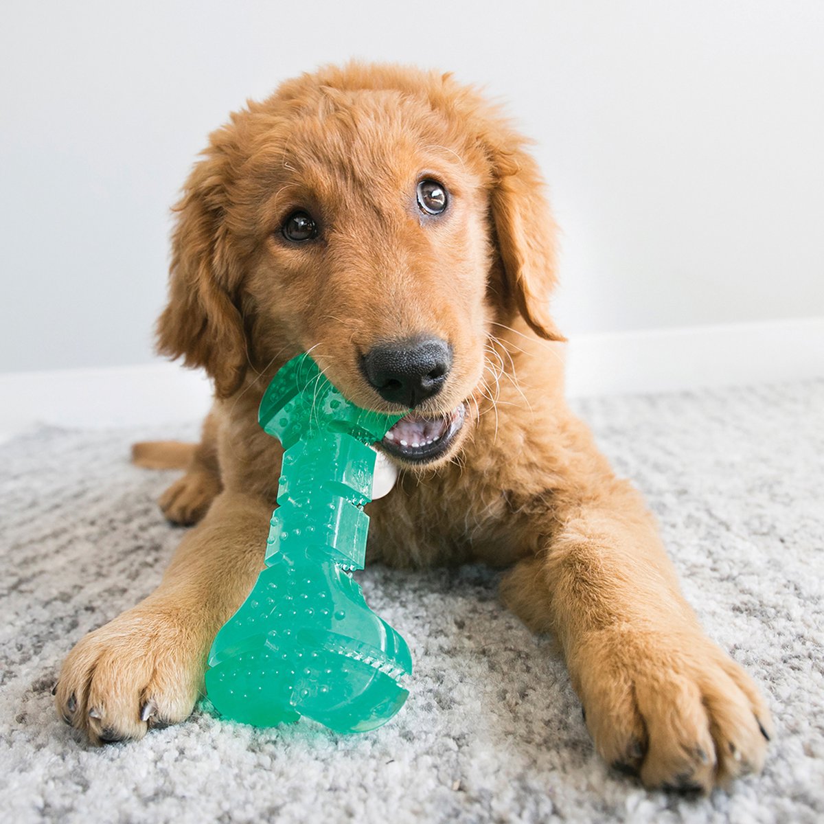 Kong squeezz dental stick mintgroen - Default Title thumbnail 3
