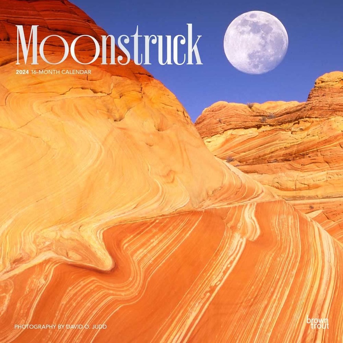 Moonstruck Kalender 2024
