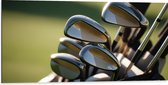 Dibond - Golf Clubs in Trolley op Golfbaan - 100x50 cm Foto op Aluminium (Met Ophangsysteem)