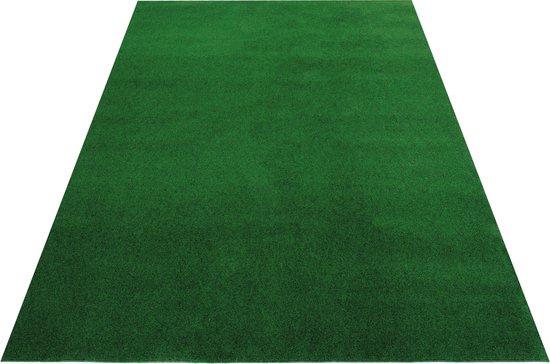 Tapiso Kunstgras Pemba Tapis de Gazon Vert 1 cm Balcon Terrasse Jardin Taille - 200x1450