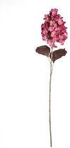 PTMD Fleur artificielle Hortensia - 34x14x78 cm - Plastique - Crème