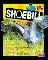 Odd Birds - Shoebill