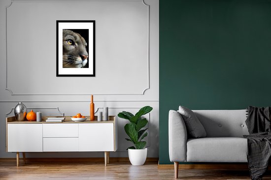 Cadre photo avec affiche - Puma - Animaux sauvages - Portrait - 40x60 cm - Cadre pour affiche