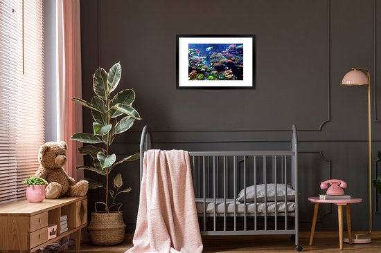 Affiche avec cadre Corail - Poisson - Aquarium - 60x40 cm