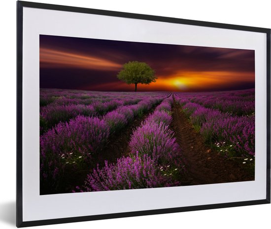 Photo en cadre - Beau champ de lavande par une soirée sombre avec cadre photo coucher de soleil noir avec passe-partout blanc 60x40 cm - Affiche sous cadre (Décoration murale salon / chambre)