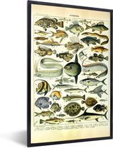 Fotolijst incl. Poster - Adolphe Millot - Kunst - Vintage - Vissen - Dieren - 60x90 cm - Posterlijst