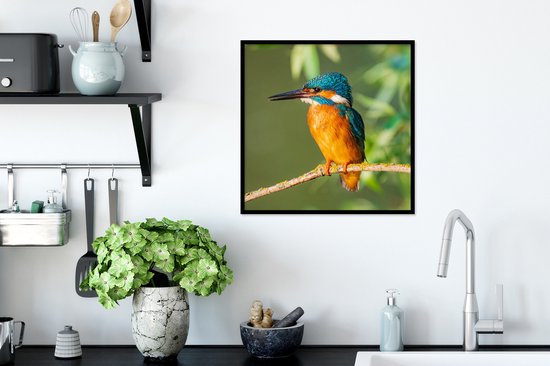 Poster - Cadre photo - Vogel - Martin pêcheur - Branche - Feuilles - 40x40 cm - Poster oiseaux - Poster sous cadre - Décoration murale nature - Poster animaux - Photo avec cadre - Posters - Cadre - Cadre affiche